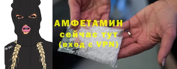 mdpv Краснослободск