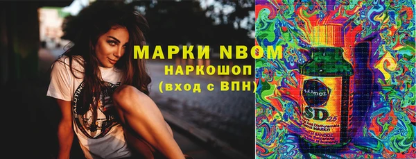mdpv Краснослободск