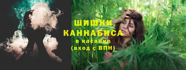 стафф Кулебаки