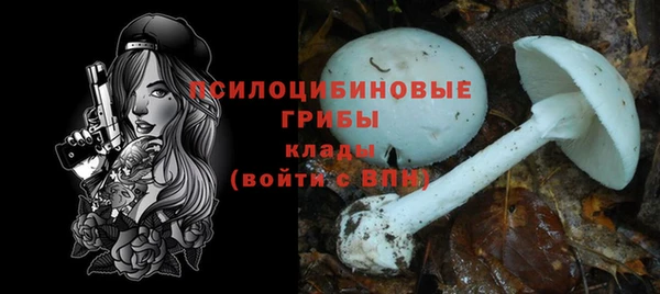 спиды Красноперекопск