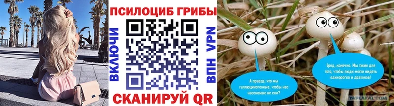 Псилоцибиновые грибы Cubensis  Купить  Макушино 